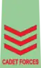 Cadet Sergeant