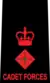 Lieutenant Colonel