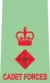 Lieutenant Colonel
