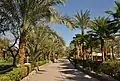Naama Bay Promenade