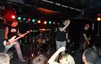 Concert of the band Naked Raygun