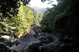 Ashizuri-Uwakai National Park, a temperate rainforest