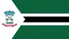 Flag of Nanuque, Minas Gerais, Brazil