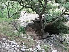 Cave Entrance