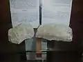 Tectonic limestone on display at Nature Museum Petaloudes