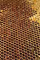 Honey comb