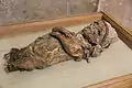 Mummy of a child from the Ihlara Valley