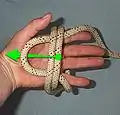 Pull the next outmost over the one(s) in the middle and under the now innermost loop