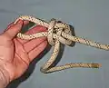 Done.