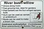 Visitor friendly plant label