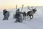 Another variation of the EMR pattern for use in snowy conditions of the Arctic, seen here with the 80th Independent Brigade