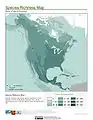 Species richness map (birds)