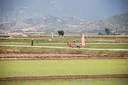 Chŏnsam Cooperative Farm, Anbyŏn