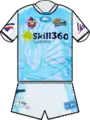 2011 NPA
