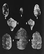 Burial Utensils from Norton und