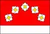 Flag of Nová Pláň