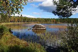 Nydalasjön