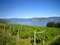 View of Okanagan Lake from Oak Bay Vineyard