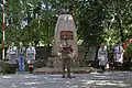 Polish Army's Day celebration (2009)