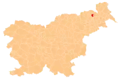 Location of the Municipality of Benedikt in Slovenia