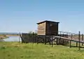 Bird hide
