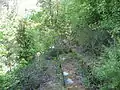 Overgrowth covers the remains of the grandstand
