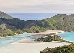 Ōkiwi Bay