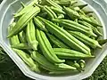 Fresh-picked fruits (grown in Eastern Oklahoma, US)