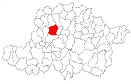 Location in Arad County
