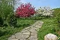 Meadow Garden