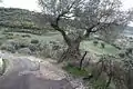 Typical view of the main road which passes through the center of the village.