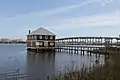 NE View - Bridge in Background