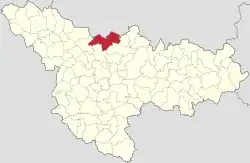 Location in Timiș County