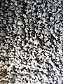 Ossuary of St. Mary's Church