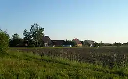 Fields in Osienic