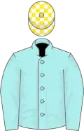 Pale blue, white and yellow check cap