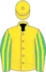 Yellow, emerald green and yellow striped sleeves