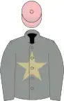 GREY, BEIGE star, PINK cap