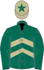 Dark green and beige chevrons, dark green sleeves, beige cap, dark green star