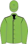 Light green, black seams on body