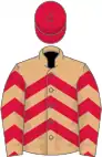 Light terracotta, crimson chevrons and cap