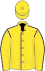 Yellow, purple seams, yellow cap