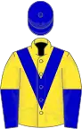 Yellow, blue chevron, halved sleeves, blue cap