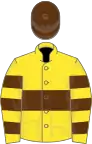 Yellow, brown hoop, hooped sleeves, brown cap
