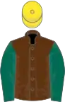Brown, dark green sleeves, yellow cap