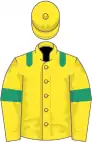 Yellow, emerald green epaulets and armlets