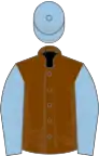 Chocolate, light blue sleeves and cap