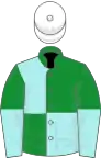 Green and pale blue (quartered), halved sleeves, white cap