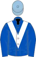 Royal blue, white chevron, light blue cap