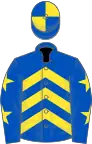 Royal blue, yellow chevrons, royal blue sleeves, yellow stars, quartered cap